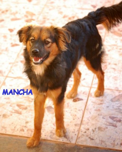 MANCHA -