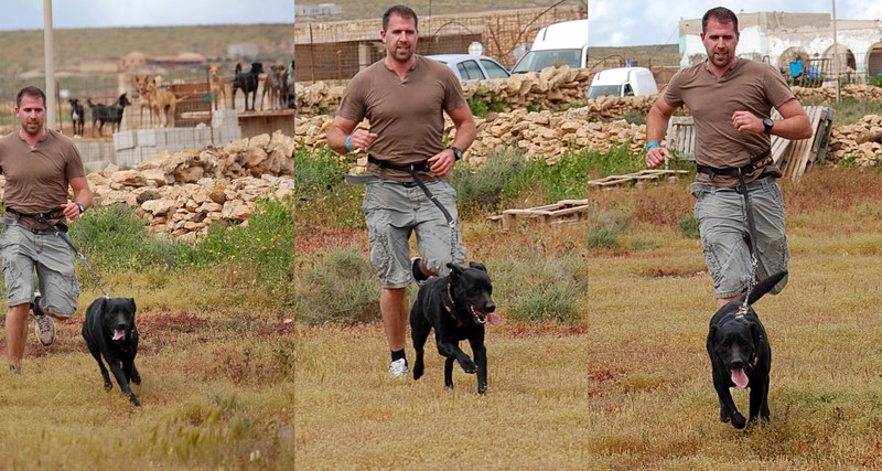 eric-cc-b
