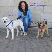 image2749-10-2381