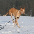 image3054-10-3041