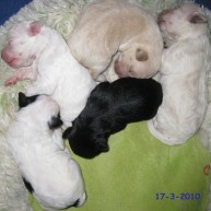 image3055-10-3051